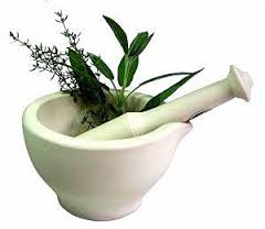 Service Provider of Herbal Extract Chhindwara Madhya Pradesh Service Provider of Herbal Extract Chhindwara Madhya Pradesh